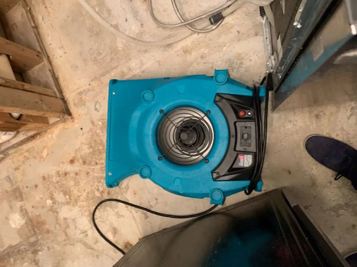 Air mover drying equipment for Mold Remediation & Removal in Cerritos